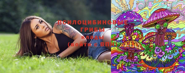 спайс Зеленокумск